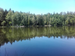 jezioro-flosek